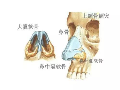 捏鼻梁真的有效吗 腾讯网