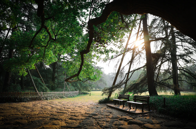 郑愁予|音乐 郑愁予：错误