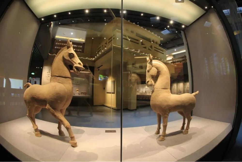 夔州博物馆位于奉节县白帝城旅游码头,占地37000平方米,建筑面积8000