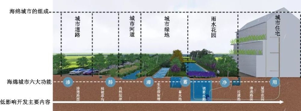 雨水花園作為海綿城市生物滯留設施的一種,可對雨水進行過濾淨化.