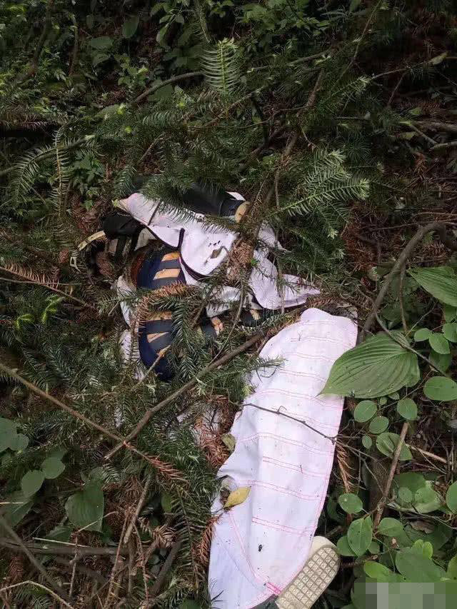 张家界翼装女大学生不幸身亡,飞行女神"安安"遗体已被找到