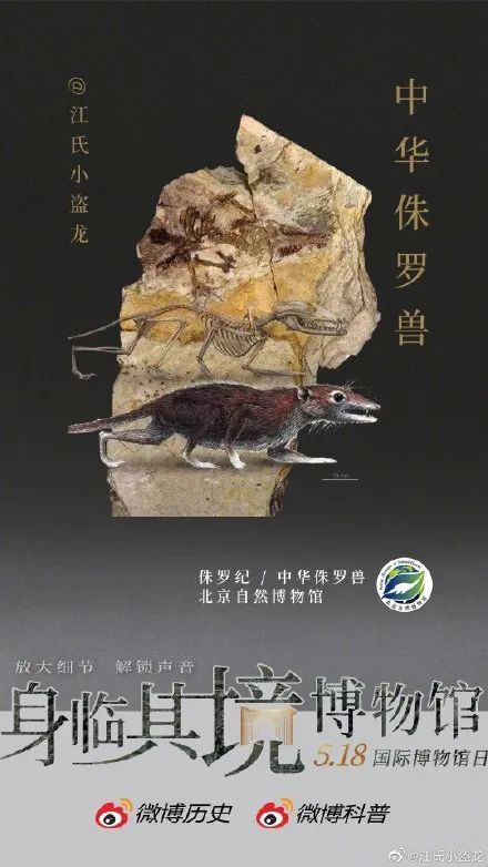 建昌出土的中华侏罗兽成为北京自然博物馆的镇馆之宝