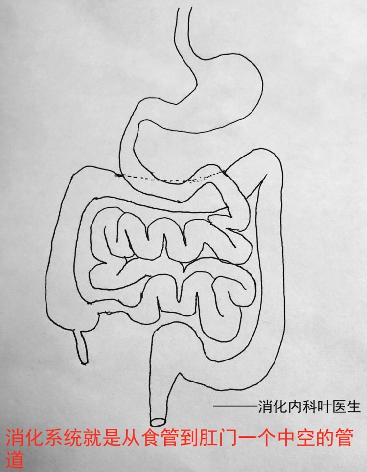 孩子感染幽门螺杆菌该怎么办需要吃药根除吗医生来科普