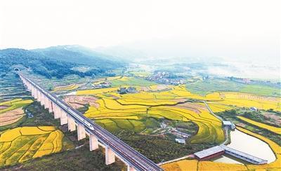 一片网红油菜花的前世今生,说湖南郴州良田小镇那片油菜花稻田