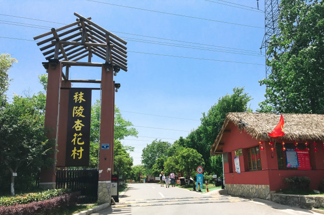秣陵杏花村:东大的后花园
