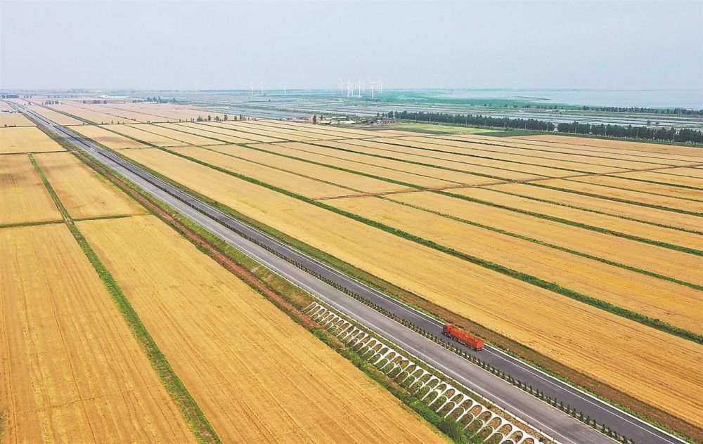 华阳河农场总场图片