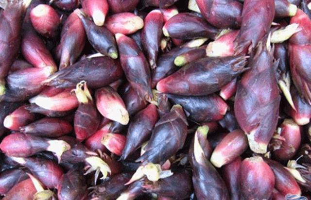 它在国内一斤才10块,还被农民当"害",在日本却要上百一斤