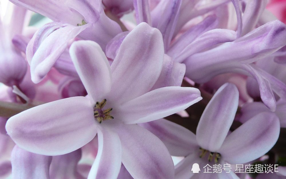 5月日星座运势 双子热情似火 天秤注重细节 双鱼幽默风趣 腾讯新闻