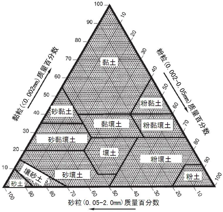 大葱种植的土壤条件营养特点及施肥技术