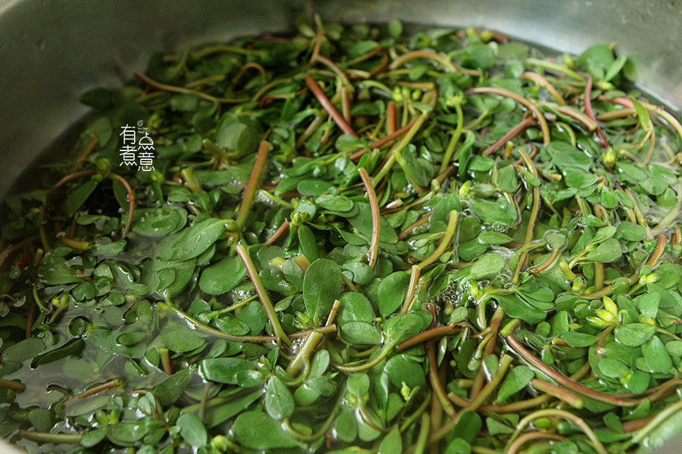 小满时节这野菜要抓紧吃3块钱一斤简单一拌鲜香味美错过可惜了