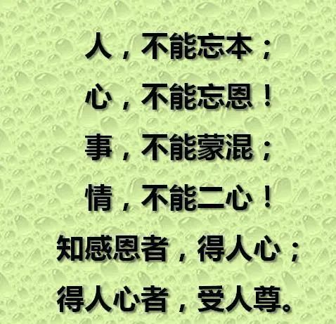 春风|人与人之间，全靠一颗心；情与情之间，全凭一寸真