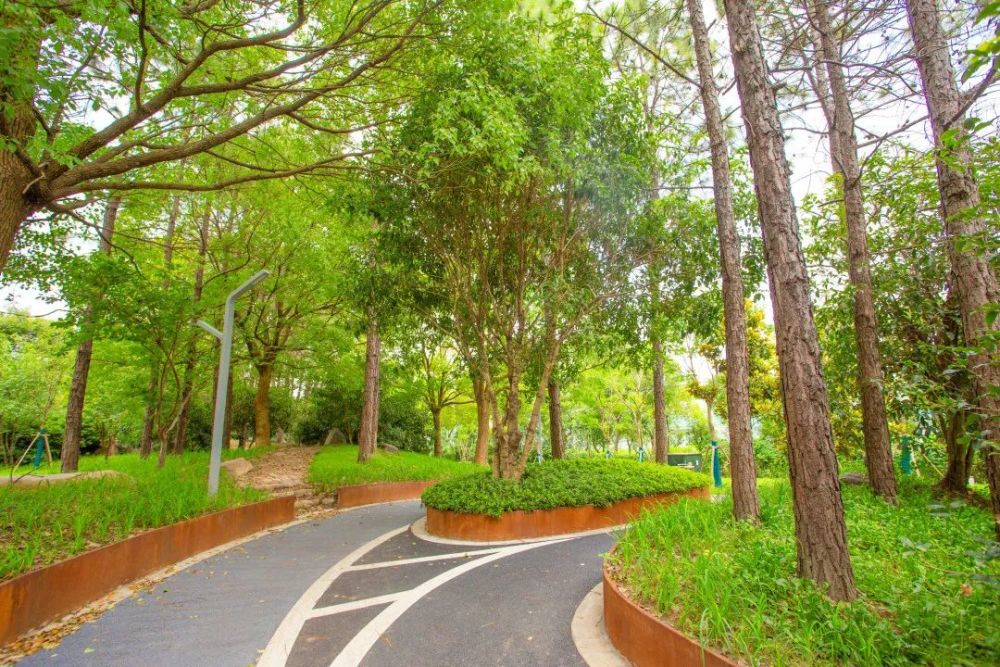 老旧绿地改造成城廓公园看奉贤区如何打造田字绿廊