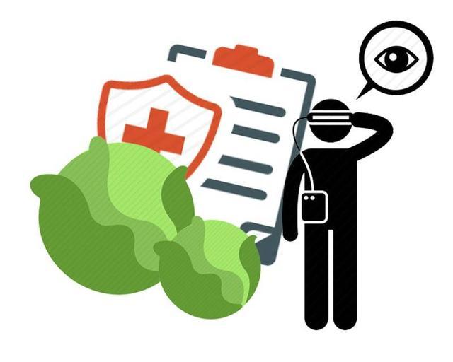 血管|胆固醇的“克星”被找到！多吃这3种菜，降压、降脂又能通血管