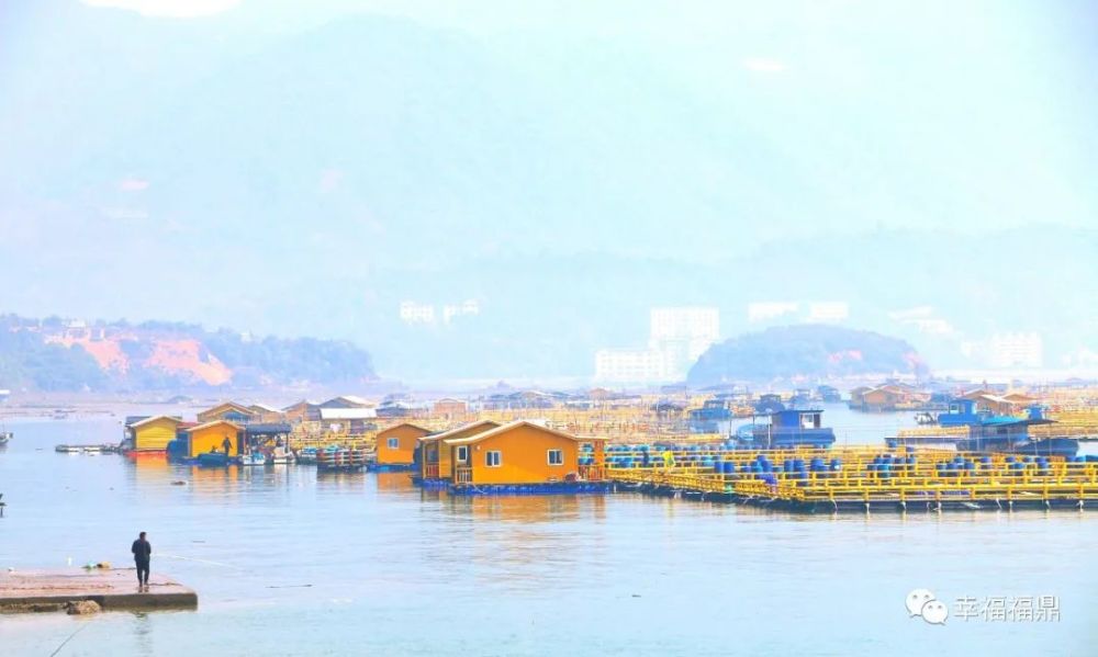 5月19日,在龙安开发区西澳村海域,宽阔的海面上波