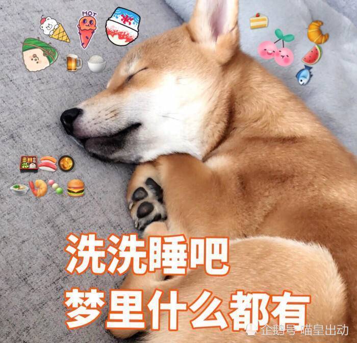 沙雕柴犬表情包:洗洗睡吧,梦里什么都有=w_腾讯新闻