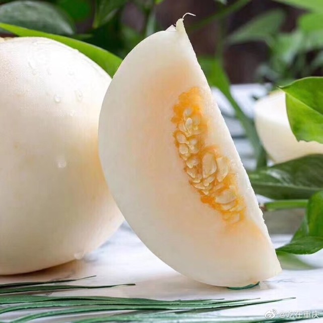 吃了这个甜瓜,我真的忘了那个她