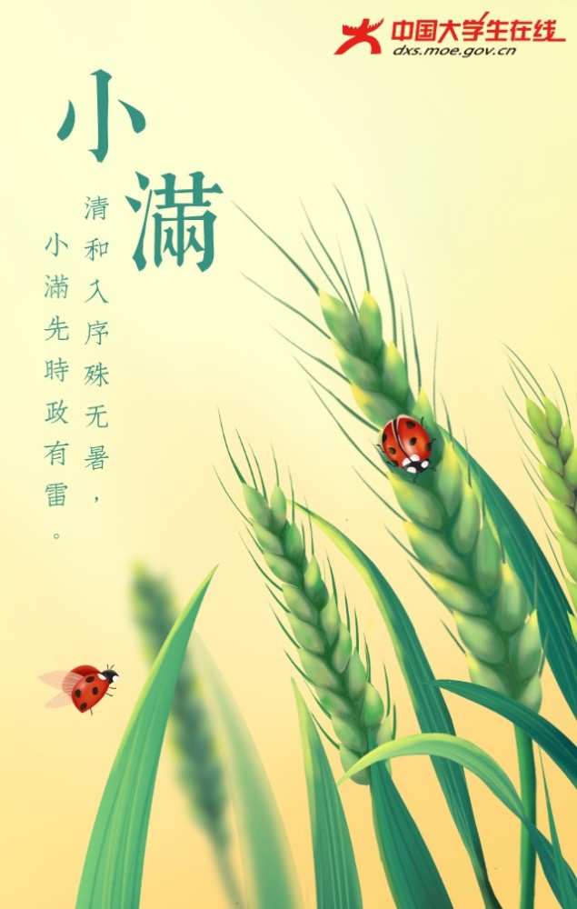 花未全开月未圆,小满这时刚刚好_腾讯新闻
