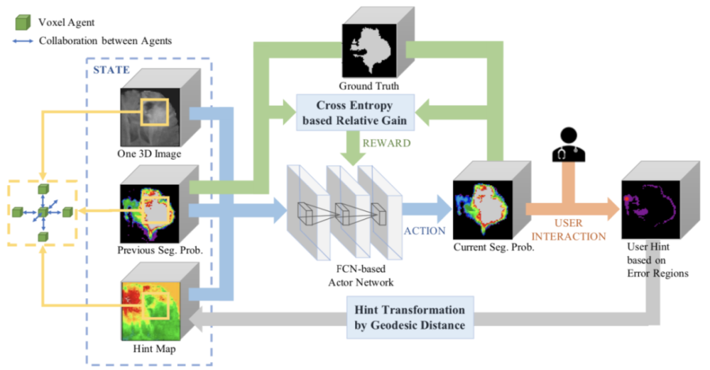 cvpr 2020|利用强化学习进行交互式3d医学图像分割_腾讯新闻