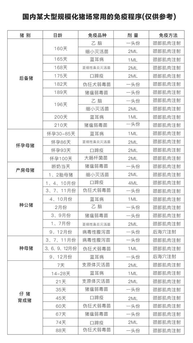 小猪免疫程序表最新图片