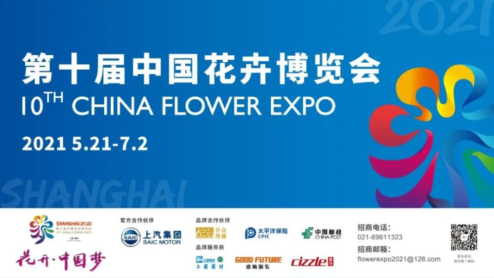 崇明花博揭秘第十届花博会荷园长啥样