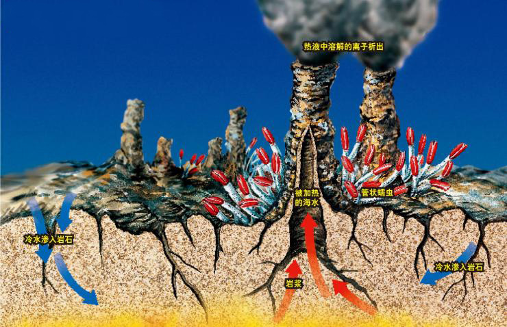 系外行星|发现了24颗比地球更宜居的行星，这些备胎靠谱吗？