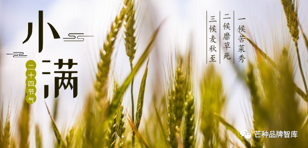 小满有三候,"一候苦菜秀,二候靡草死,三候麦秋至".