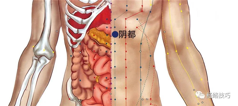 阴都穴 腾讯网