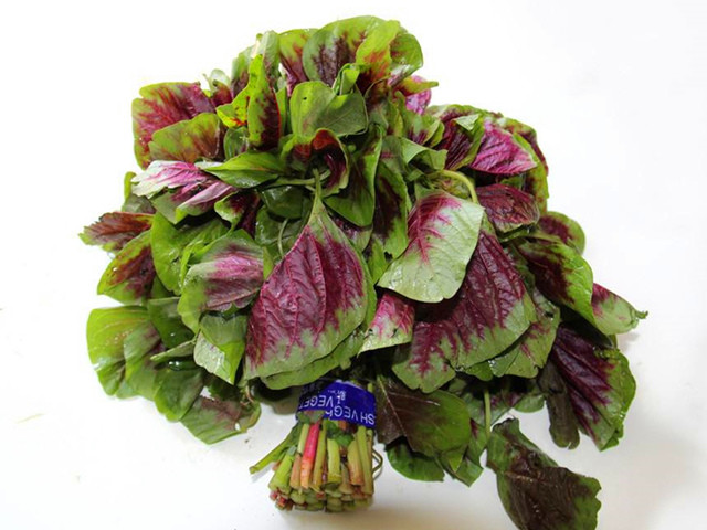 同样是苋菜,"绿色"和"红色"的区别这么大?知道后别再瞎买了