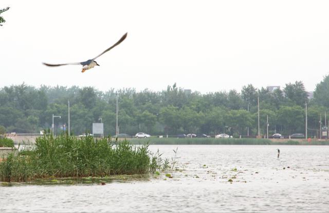 顺义区|顺义国际人才社区这3条特色示范街区，你知道在哪吗？