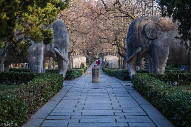 明孝陵神道的正确行走方式步行26公里感受朱元璋的霸气