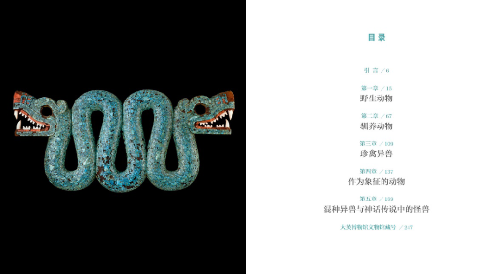 大英博物馆人类简史|《大英博物馆人类简史》：站在上帝视角，欣赏人类文明！