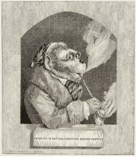 大英博物馆人类简史|《大英博物馆人类简史》：站在上帝视角，欣赏人类文明！