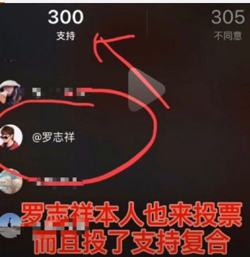 罗志祥亲自下场投票：我同意小猪和周扬青复合