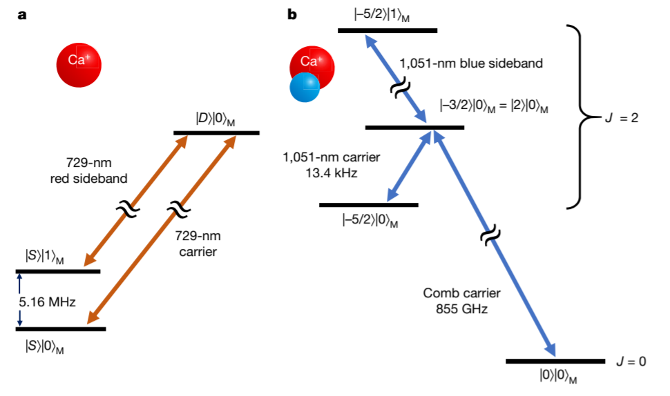 钙离子和氢化钙离子(cah )的能级转换在该实验中,分子比特可以从低频