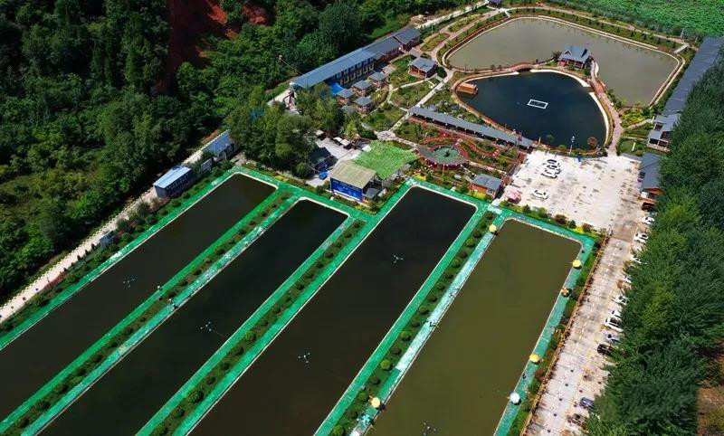 以下成县陈院渔乐农庄千年古县!美丽成县欢迎您!谢谢观看!