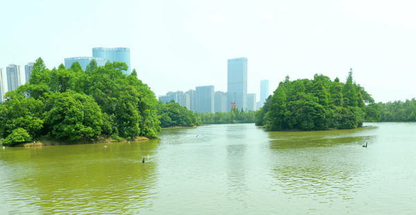 艾溪湖溼地公園南昌唯一的城市天然溼地親水騎行喂天鵝隨你