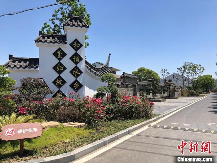 探访江苏无锡张镇桥村一条小河治理撬动美丽乡村建设