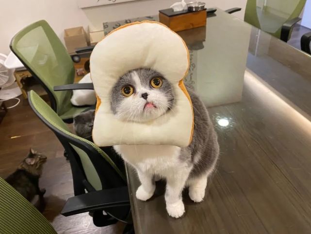641