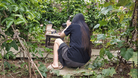 李子柒種土豆拿下千萬流量倪萍和她攀關係她的東方美百看不膩