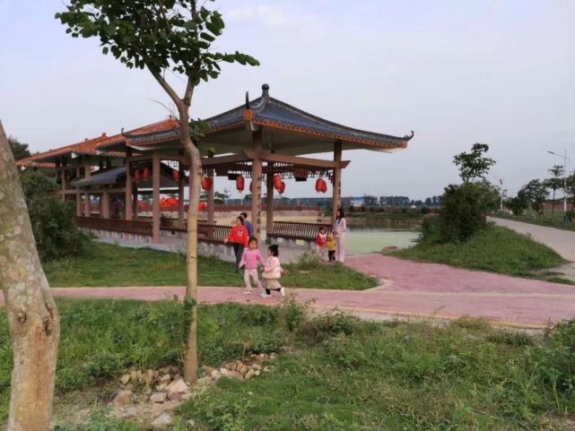 21万人云游雷州市沈塘镇揖花村 展现脱贫攻坚成果