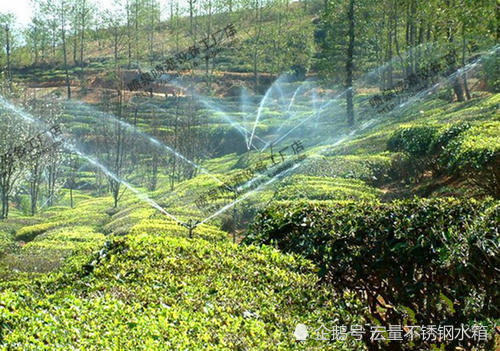 方形不锈钢水箱对果园灌溉的重要性有哪些你须知