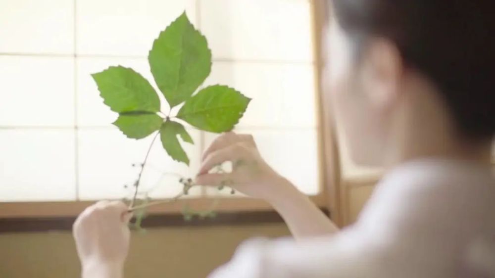 喝茶|都是喝茶，为什么说“中国茶是热的，日本茶是冷的”？