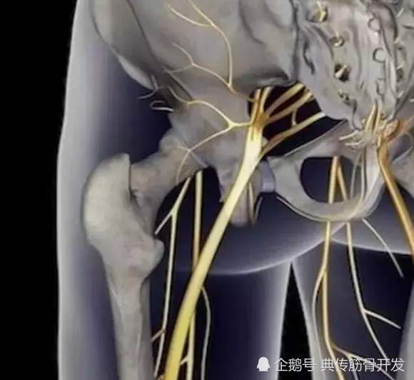 真正八极拳筋骨齐鸣,如何科学练习-典传筋骨体系