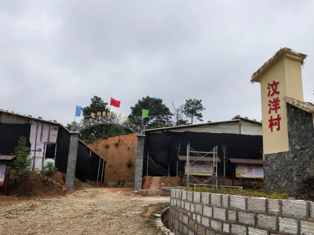 下祝乡汶洋村:小小食用菌 铺就村民致富路