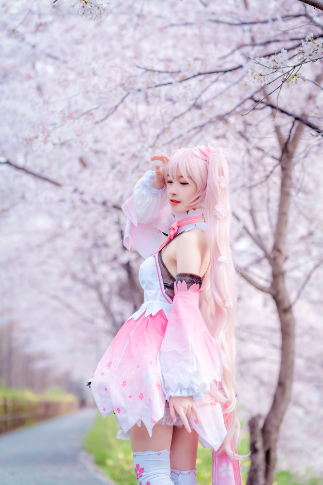 cos:来自韩国小姐姐的樱初音