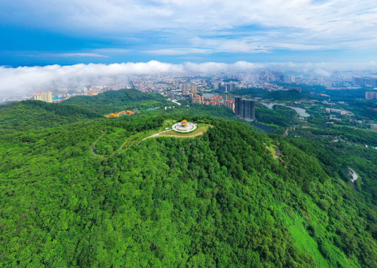 从"无人问津地"到"网红打卡点",金鸡岭森林公园经历了什么?