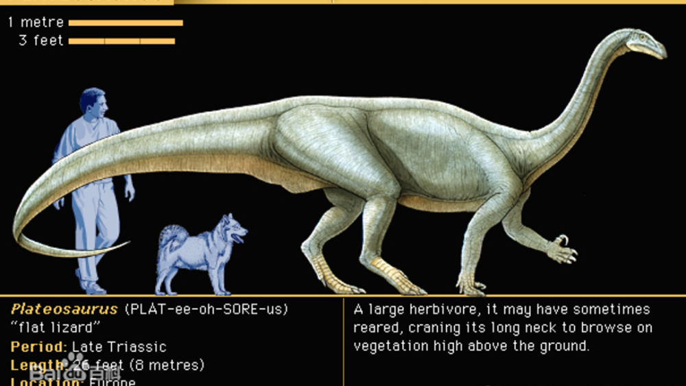 禄丰龙:中华第一龙