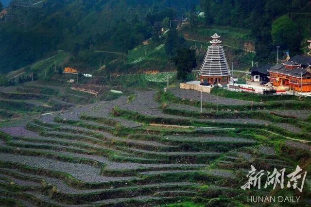 就位于米贝苗乡境内烂泥村竹坡梯田是湖南贵州两省三县交界之地位于
