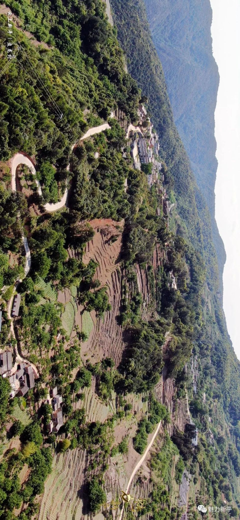 云上新平 盘龙村