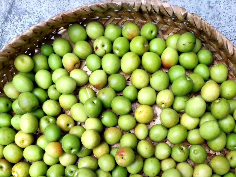 潮汕青梅上市!这么多种食法,收藏起来在家就能做!_腾讯新闻
